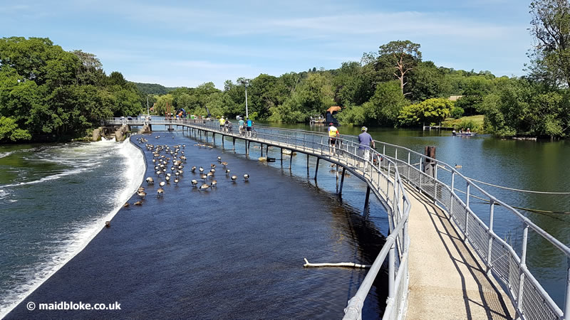 MarlowSocialHambledenLock20190704_112956